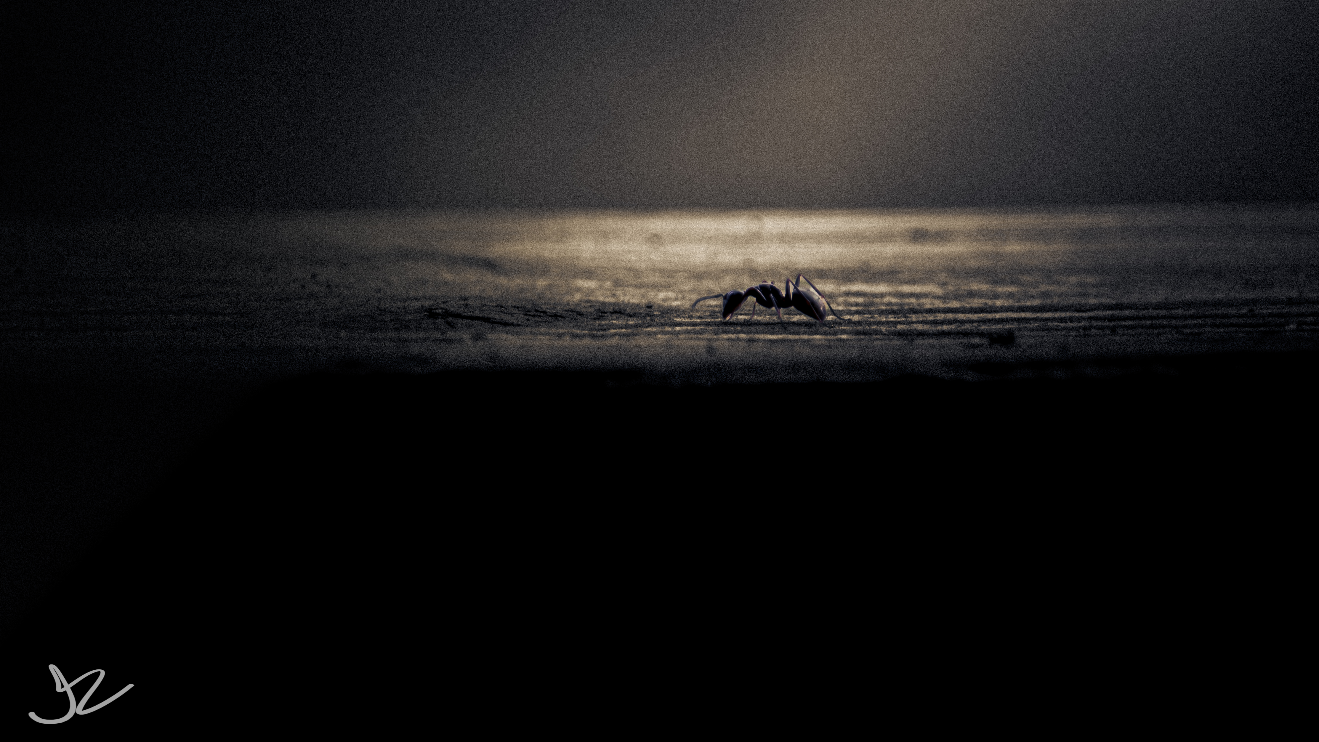 A lone ant.